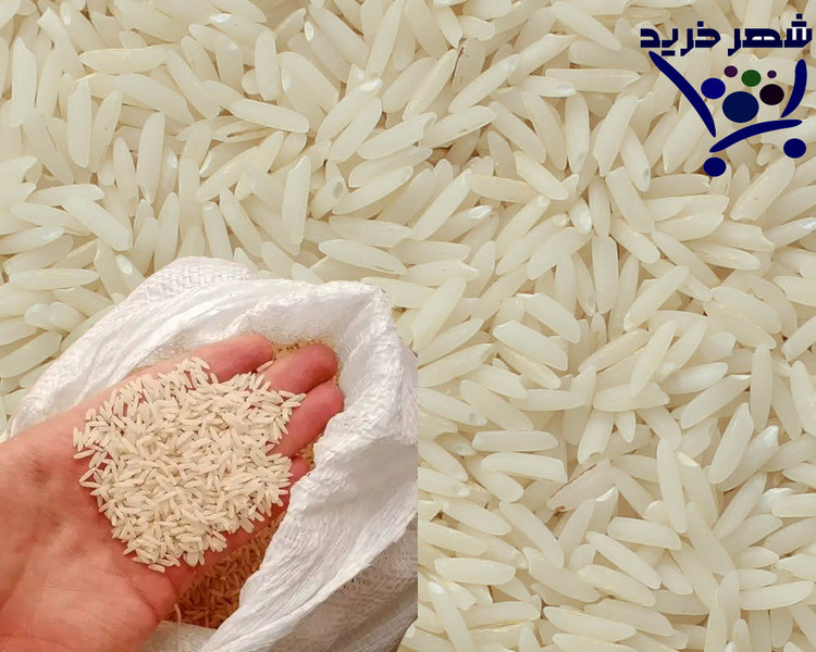 برنج هاشمی گیلان