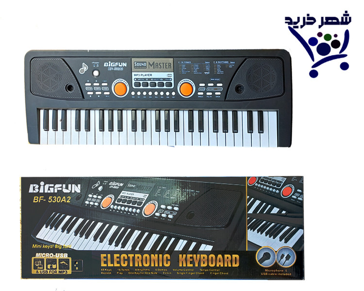 ارگ 49 کلید میکروفون دار فلش خورMQ820